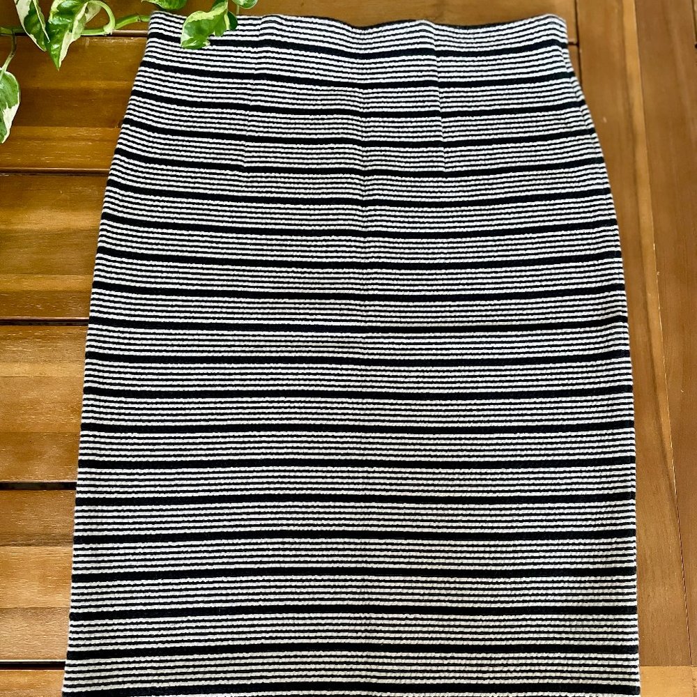 Loft Knit Pull On Pencil Skirt (Striped)